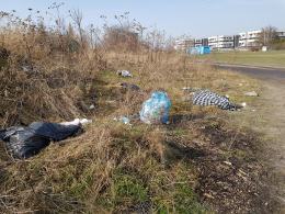 Toniemy w śmieciach. Nielegalne wysypisko koło dawnej spalarni