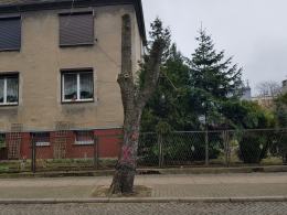 Wycinka drzew na Pasiece. Mieszkańcy liczą na wyciągnięcie konsekwencji wobec PKP PLK
