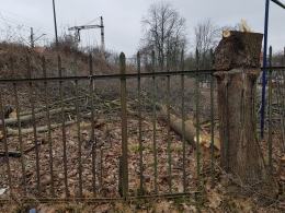 Wycinka drzew na Pasiece. Mieszkańcy liczą na wyciągnięcie konsekwencji wobec PKP PLK