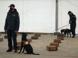 Jako pierwsze w Polsce pomogą w wykrywaniu COVID-19