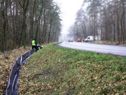 Opolski Zarząd Dróg Wojewódzkich dba o...żaby