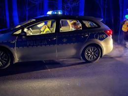 Twierdził, że na drogę wybiegły dwie sarny. Jechał pod wpływem alkoholu