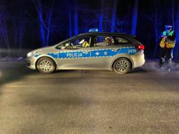 Twierdził, że na drogę wybiegły dwie sarny. Jechał pod wpływem alkoholu