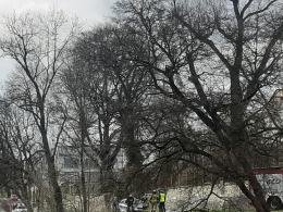 Kierowca stracił panowanie nad pojazdem i stoczył się w kierunku rzeki