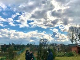 Policjanci kontrolują ogródki działkowe