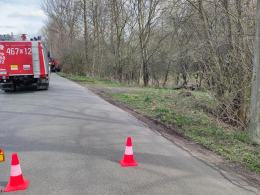 Kierujący osobówką wjechał w słup. Trafił do szpitala