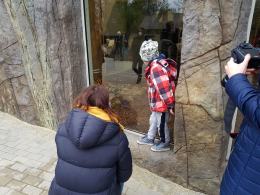 Uroczyście otwarto wybieg dla lwów i tygrysów w opolskim zoo!