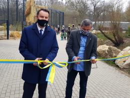 Uroczyście otwarto wybieg dla lwów i tygrysów w opolskim zoo!