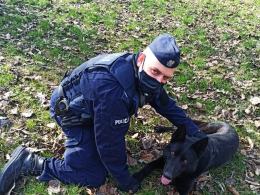 Otel - nowy pies w strzeleckiej komendzie