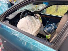 Kierowca Audi uderzył w drzewo i uciekł z miejsca wypadku