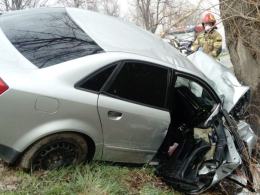 Pijany kierowca uderzył w drzewo. Pasażerka zmarła w szpitalu