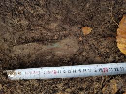 Sensacyjne odkrycie archeologów w kędzierzyńsko-kozielskim lesie