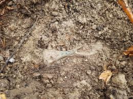 Sensacyjne odkrycie archeologów w kędzierzyńsko-kozielskim lesie