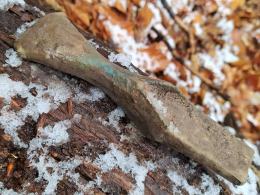 Sensacyjne odkrycie archeologów w kędzierzyńsko-kozielskim lesie