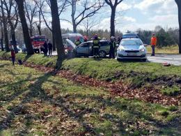Wjechał w drzewo. Jedna osoba uciekła do lasu. Akcja służb w Ozimku