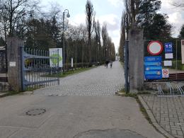 Radni chcą usunąć zapis stanowiący o zakazie wejścia z psem na Cmentarz Komunalny