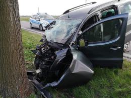 Kierowca citroena uderzył w drzewo. 3 osoby trafiły do szpitala 
