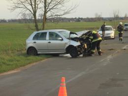Kierująca skodą uderzyła w drzewo. Wypadek w Dębskiej Kuźni
