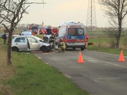Kierująca skodą uderzyła w drzewo. Wypadek w Dębskiej Kuźni
