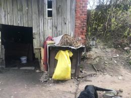 Kolejna ofiara ludzkiej bezduszności, obojętności i podłości