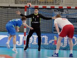 Polacy wygrywają w Stegu Arenie!
