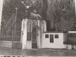 Zespół Szkół w Tułowicach zyska piękny park