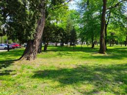 Zespół Szkół w Tułowicach zyska piękny park