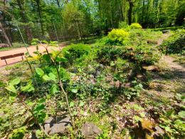 Zespół Szkół w Tułowicach zyska piękny park