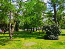 Zespół Szkół w Tułowicach zyska piękny park