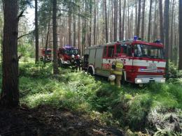 Strażacy gasili pożar w lesie w Kotorzu Małym