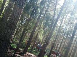 Strażacy gasili pożar w lesie w Kotorzu Małym