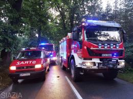 Murów: Samochód dostawczy uderzył w drzewo