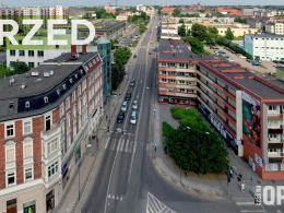 Opole się zazieleni. Prezydent pokazał plan nasadzeń wzdłuż ulicy Ozimskiej