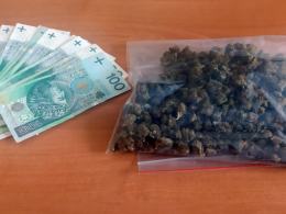 36-latek zatrzymany za posiadanie i handel narkotykami