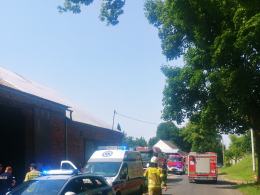 Wypadek w powiecie nyskim. Kierowca wjechał w drzewo