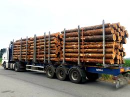 Przewóz drewna pod lupą WITD. Kontrole wykazały nieprawidłowości