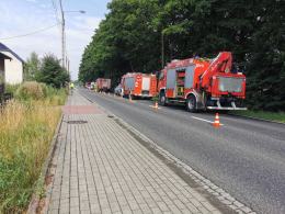 Samochód dostawczy wjechał do rowu i uderzył w drzewo
