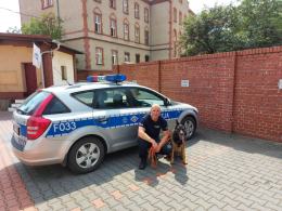 Rozpoznają m.in. przemycane środki odurzające czy narkotyki. Przeszły szkolenie