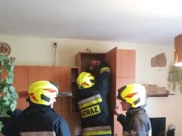 Strażacy pomogli uwolnić nietoperza, który "utknął" w kuchni