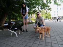 Za nami event charytatywny "Psie Party". Darczyńcy wykazali się dobrym sercem
