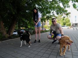 Za nami event charytatywny "Psie Party". Darczyńcy wykazali się dobrym sercem