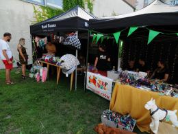 Za nami event charytatywny "Psie Party". Darczyńcy wykazali się dobrym sercem