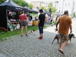 Za nami event charytatywny "Psie Party". Darczyńcy wykazali się dobrym sercem