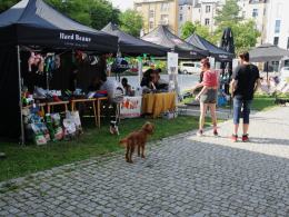 Za nami event charytatywny "Psie Party". Darczyńcy wykazali się dobrym sercem