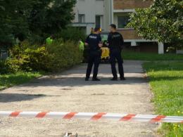 Ulatniający się gaz w budynku mieszkalnym w Opolu, wezwano straż