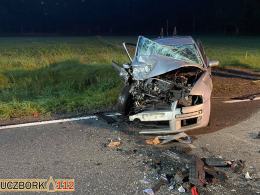 Czołowe zderzenie aut na DK45 w Jasieniu. Dwie osoby trafiły do szpitala