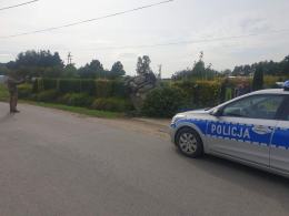 Dachowanie audi w Przeczy. Auto wbiło się w ogród przed posesją