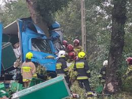 Kierowca ciężarówki uderzył w drzewo. Śmiertelny wypadek w Ujeździe