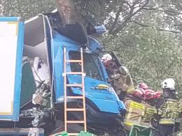 Kierowca ciężarówki uderzył w drzewo. Śmiertelny wypadek w Ujeździe
