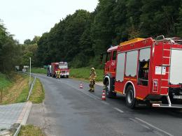 Kierowca stracił panowanie nad pojazdem i wpadł do rowu